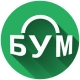 Бухгалтерский Умный Модуль (БУМ)