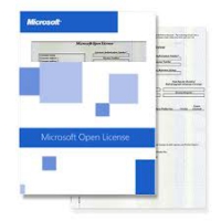 Windows 10 Professional Get Genuine Solution (GGS) 