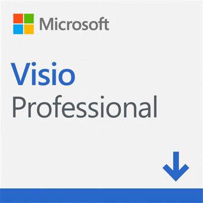 Microsoft Visio Professional 2024