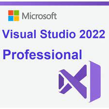 Microsoft Visual Studio Professional 2022