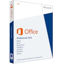 Microsoft Office 2013 Professional