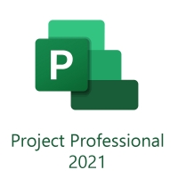 Project Профессиональный 2021