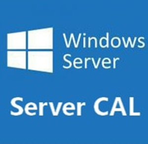 Microsoft Windows Server 2025 CAL