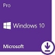 Windows 10 Professional