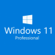 Windows 11 Професійна