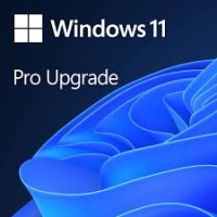 Windows 11 Professional Upgrade